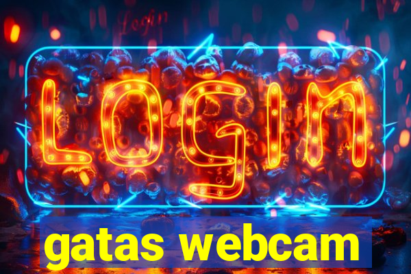 gatas webcam